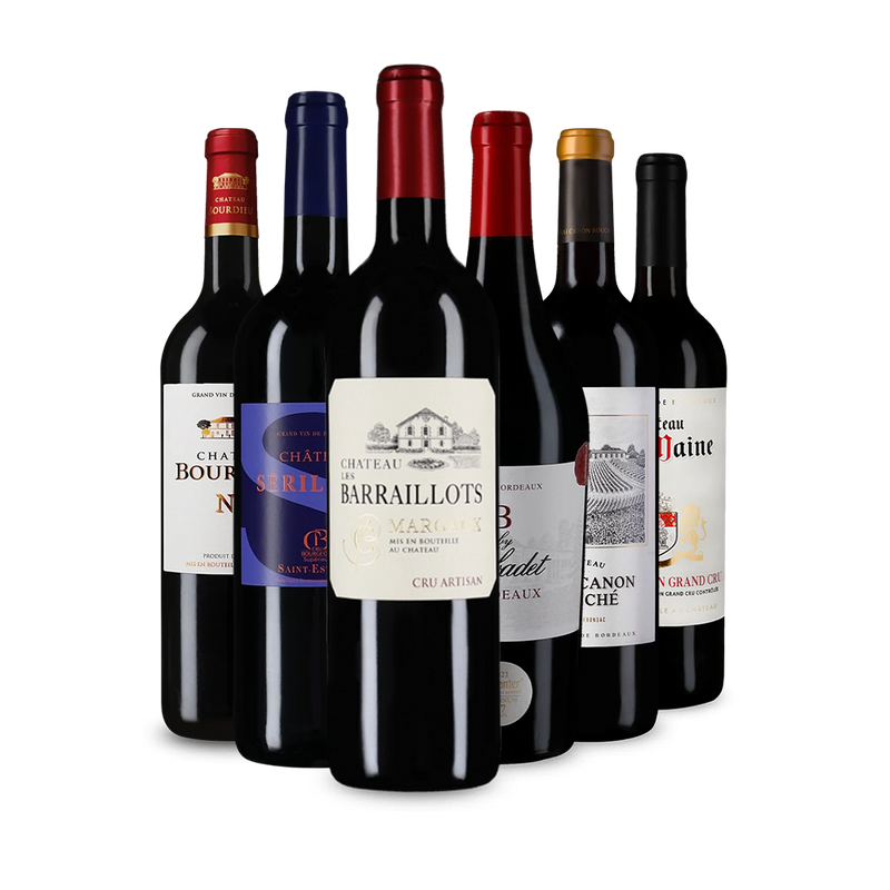 Offre découverte Wine in Black 'Tour de Bordeaux'