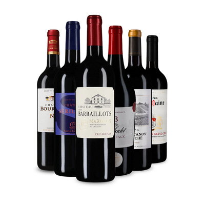 Offre découverte Wine in Black 'Tour de Bordeaux'