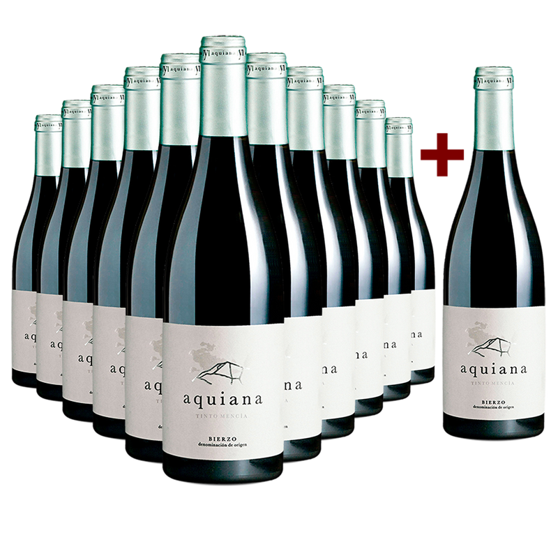 Offre 11+1 bouteilles Bodegas Merayo 'Aquiana' Bierzo Mencía 2017