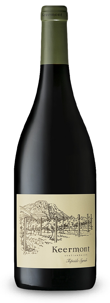 Topside Single Block Shiraz 2017