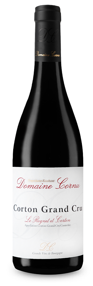 Corton Grand Cru Le Rognet et Corton Rouge 2019