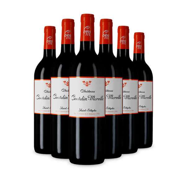 Offre 6 bouteilles Cru Bourgeois Saint-Estèphe 2008