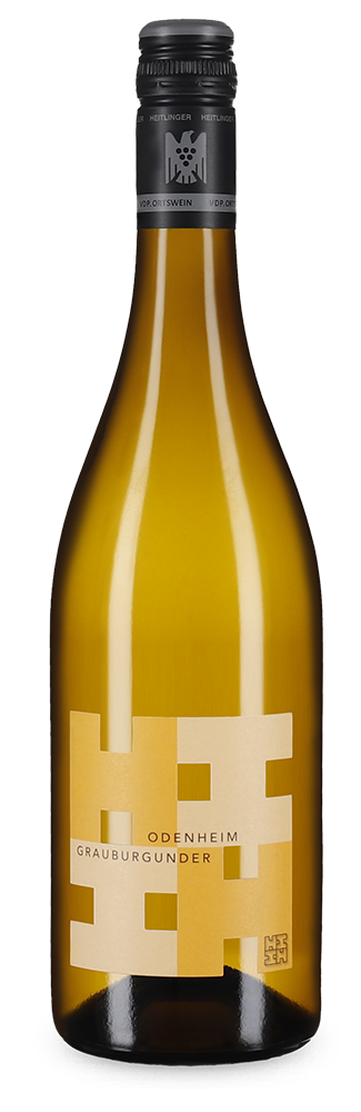 Pinot gris Odenheim sec 2023