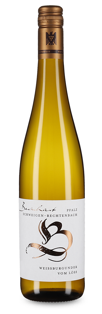 Pinot blanc sec 2023