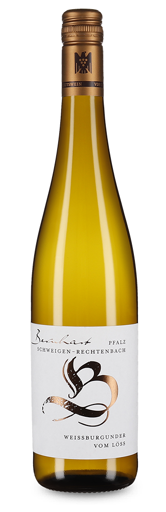 Pinot blanc sec 2023