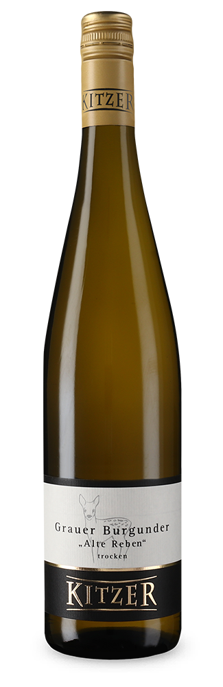 Pinot gris Alte Reben sec 2023