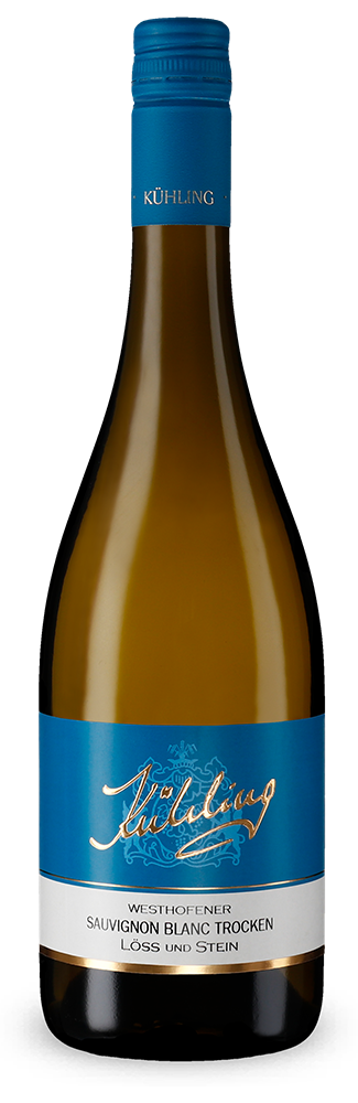 Westhofener Sauvignon Blanc Löss und Stein sec 2023