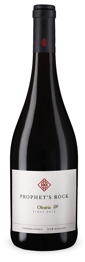 Olearia Pinot Noir 2022