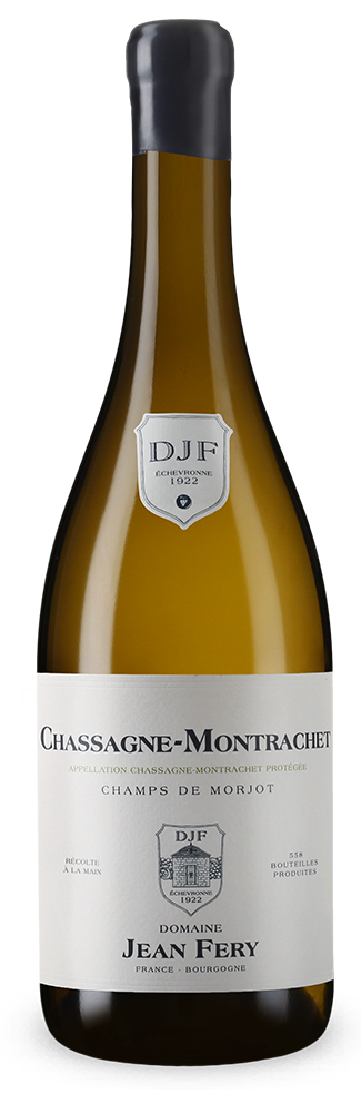 Chassagne-Montrachet Blanc Champs de Morjot 2022