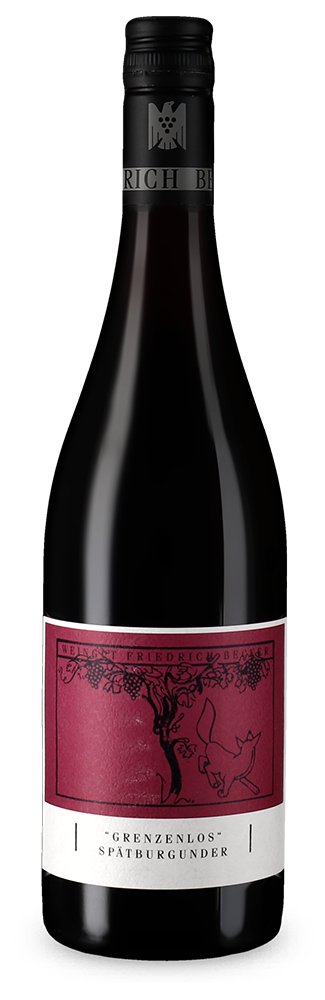 Grenzenlos Pinot noir sec 2021