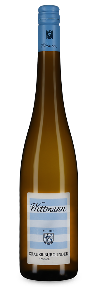 Pinot gris sec 2023