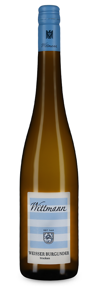 Pinot blanc sec 2023