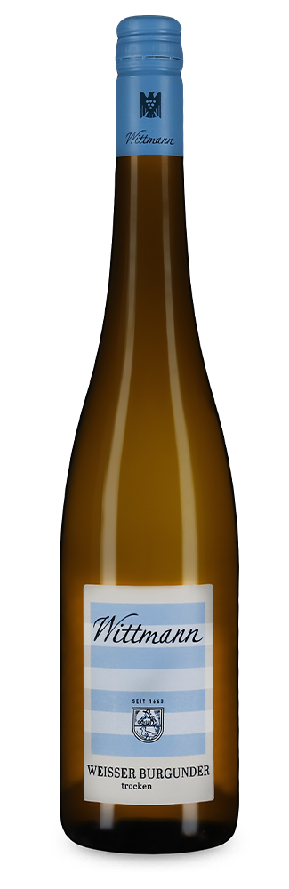 Pinot blanc sec 2023