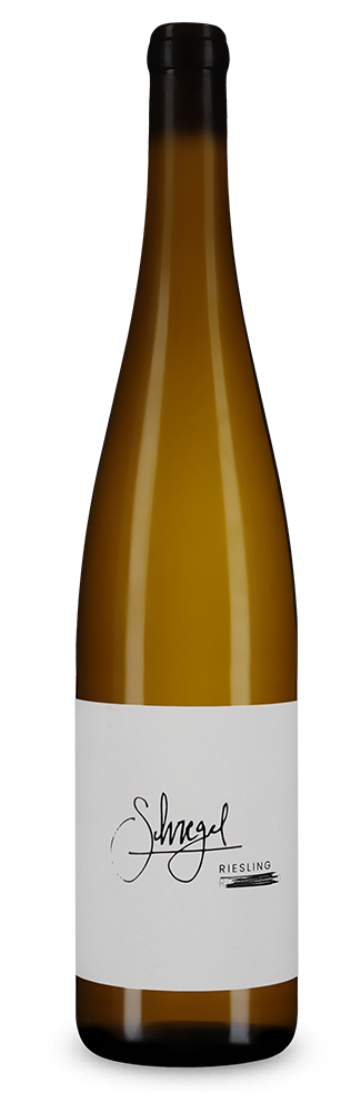 Riesling R. sec 2023