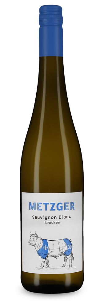 Sauvignon Blanc sec 2023