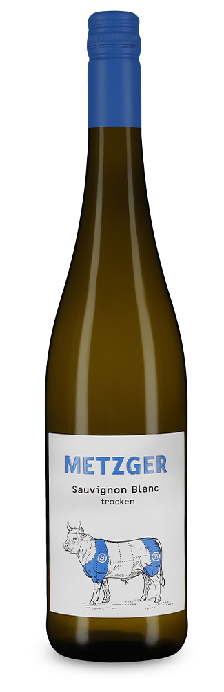 Sauvignon Blanc sec 2023